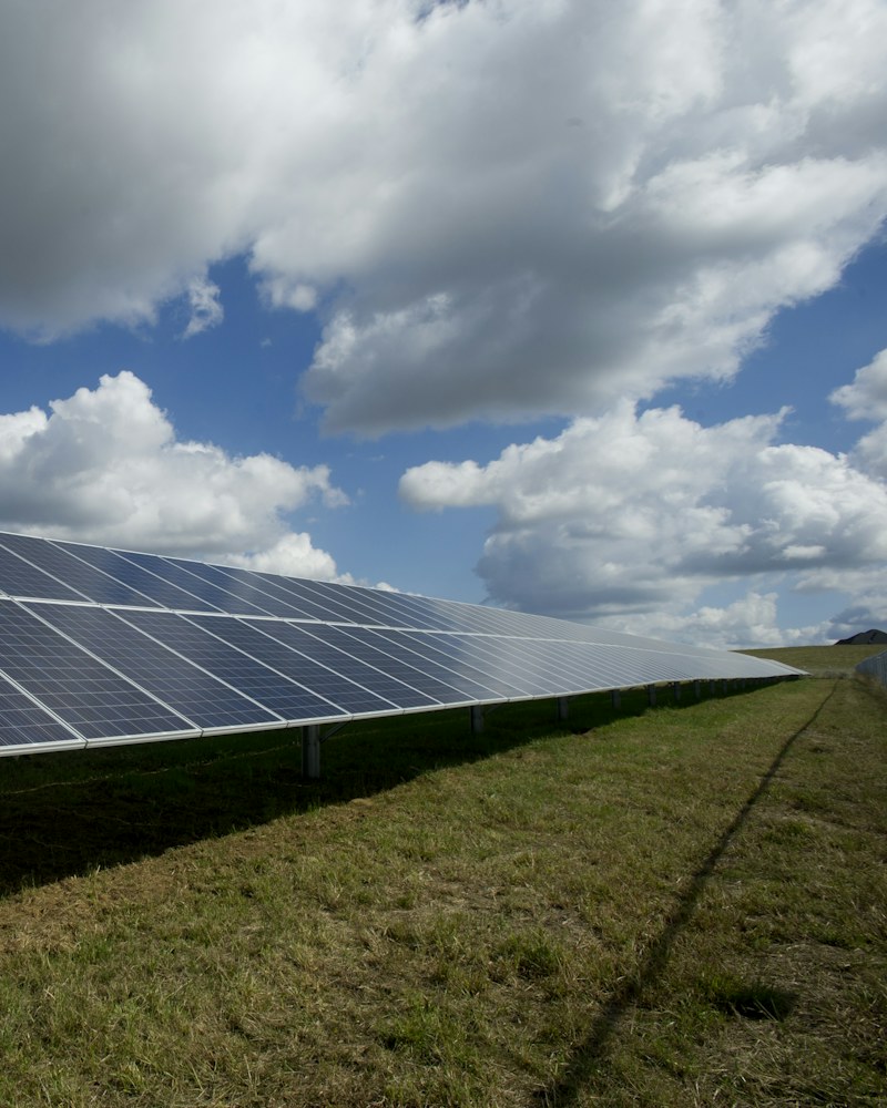 Açık arazide sıra sıra kurulmuş güneş enerjisi panelleri
